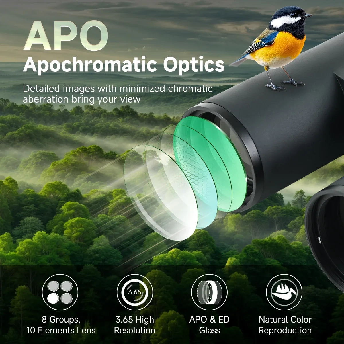 SVBONY SA207 Pro 8x42 ED APO flat-field binoculars – manufacturer image 2